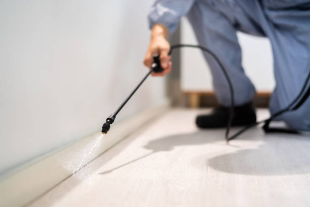 Licensed Cockroach Control service in Manito, IL - Nex Pest Control