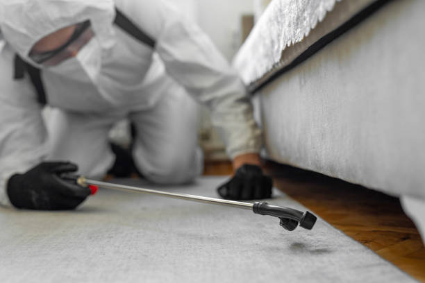 Professional Cockroach Control technician working in Manito, IL