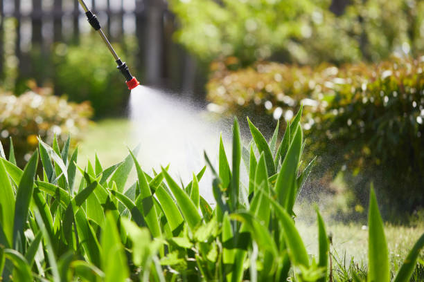 24/7 Emergency Cockroach Control experts in Manito, IL