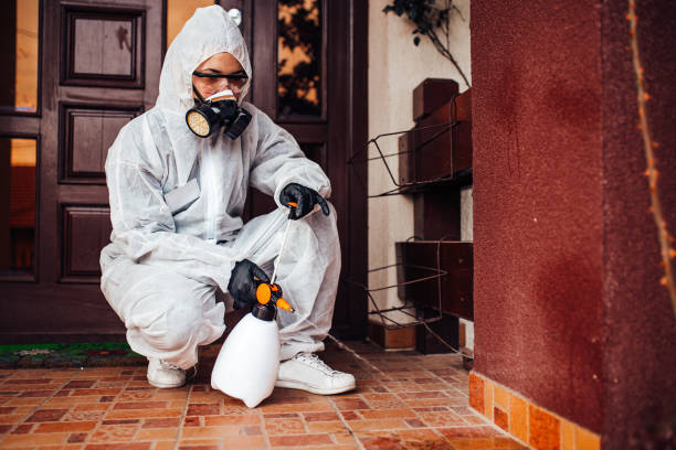 Reliable Cockroach Control contractor in Manito, IL by Nex Pest Control